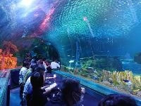 水族館