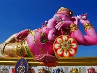 ピングの象