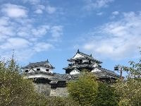 城