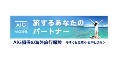 AIG保険　海外ロゴ