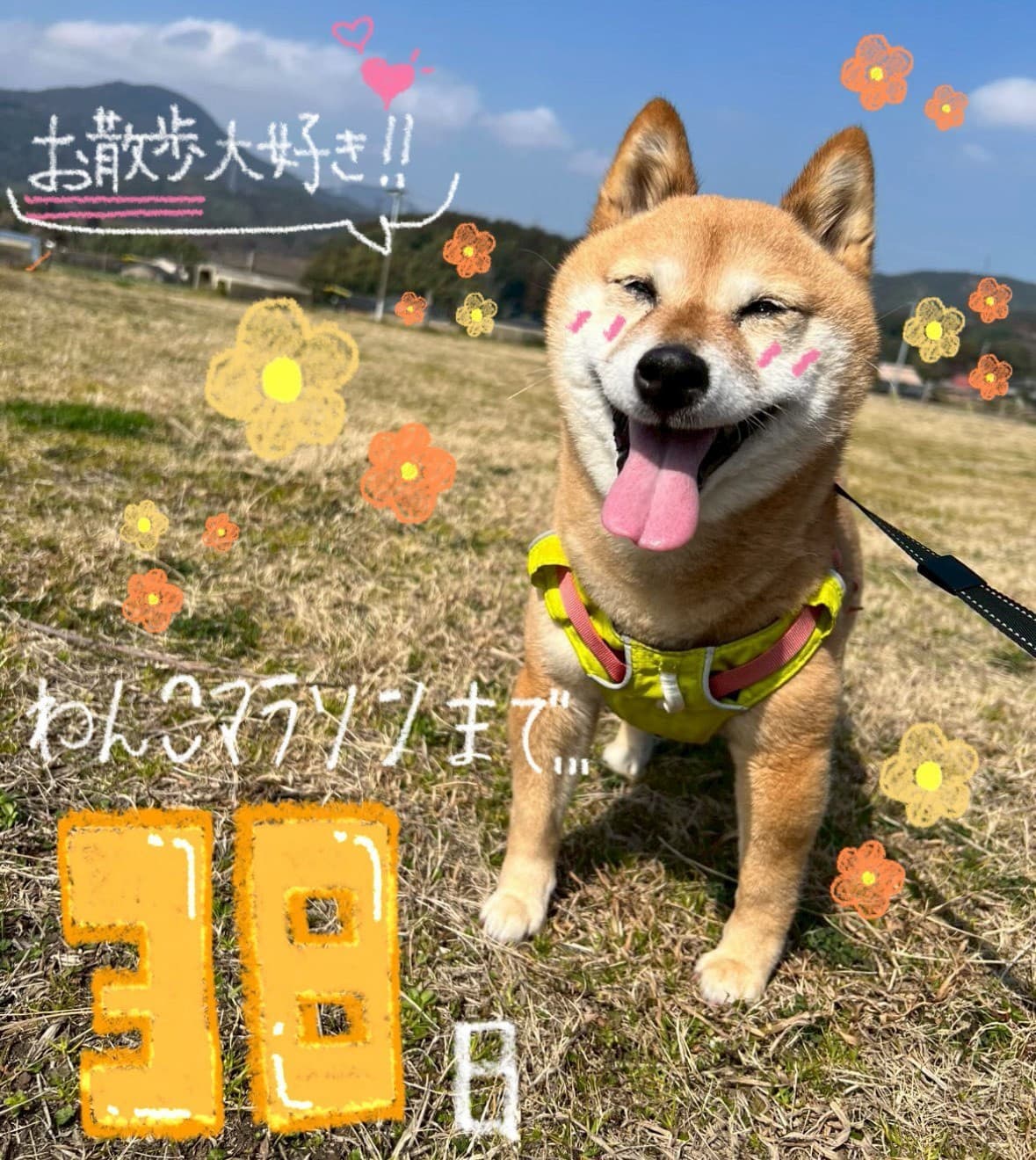 line_album_20260320_260320_29.jpg