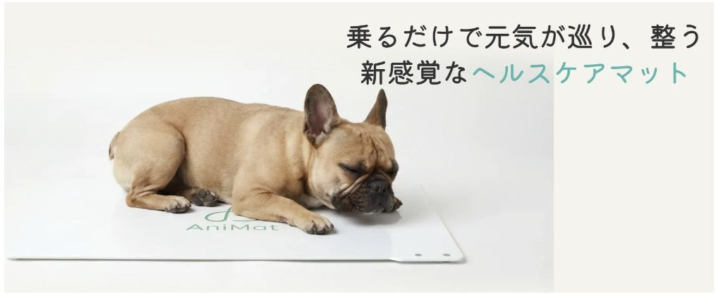 フード