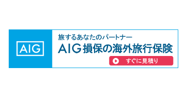 AIG保険　海外ロゴ
