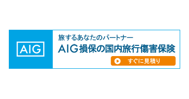AIG保険　国内ロゴ